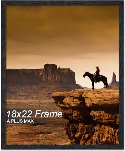 A PLUS MAX 18x22 Picture Frame Black Light Weight Wall Mount