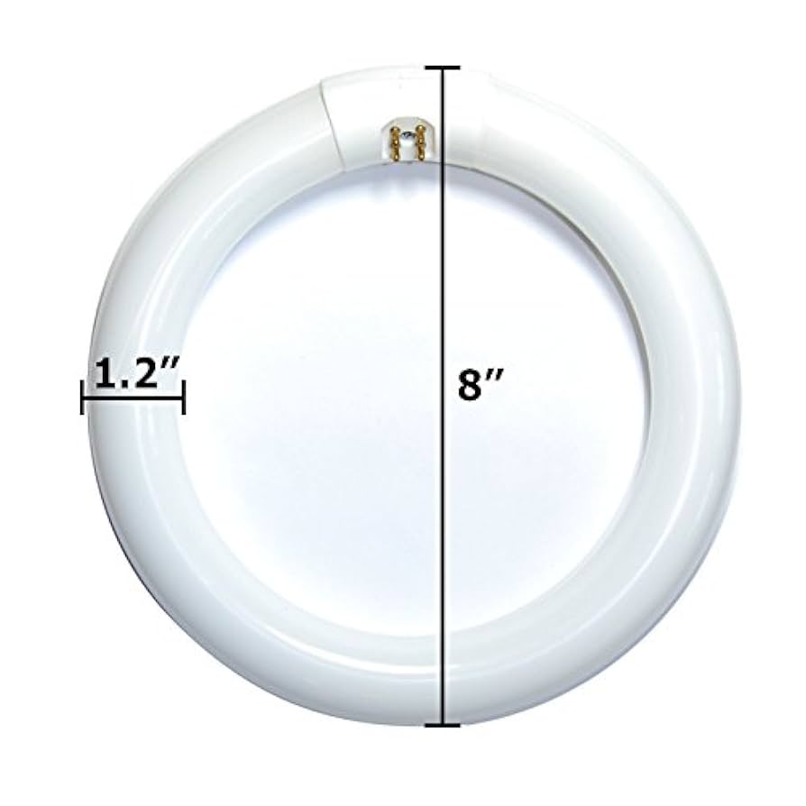 【tink】 41s3n6ARDSL._UF894,1000_QL80_.jpg