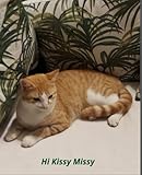 Independently published