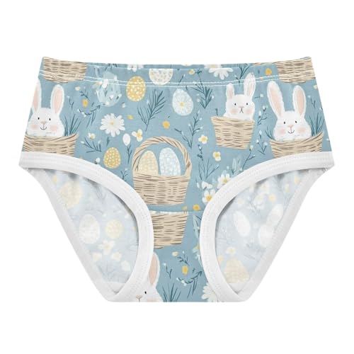 Wusikd Blue Color Bunnies Girls' Underwear Cotton Girls Briefs Soft Toddler Underwear 2T