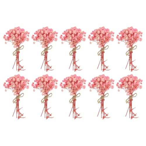 PATIKIL Mini Ramo de Flores Secas, 10 Pzas de Gypsophila Natural con Tallo, Decoración de Plantas Florales Boho para Manualidades, Accesorios de Fotos DIY, Regalo de Boda, Color Rosa