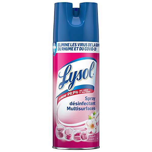 Lysol Floral Disinfectant Spray