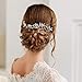 Brishow Bride Rhinestones Wedding Hair Comb Clips Silver Bridal Hair Piece Crystal Hair Accessory for Women and Girls
