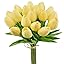 Light Yellow Light Yellow