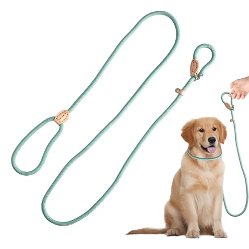 Rieoany Retrieverleine mit Zugstopp, 180 cm Hundeleine aus Polyester, Anti-Zieh Schleppleine für Hunde, Leichtes Führungsleine für Training Spaziergang, Cyan