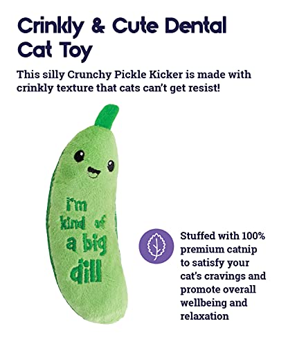 Petstages Crunchy Pickle Kicker Dental Catnip Cat Toy #TOP3