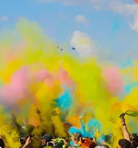 Holi Poudre pour festival, fête, mariage, séance photo, 10 couleurs, 50 sachets de 100 g chacun
