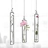 3 Beautiful Hanging Plant Holders for Bud Propagation | Rope/Metal ...