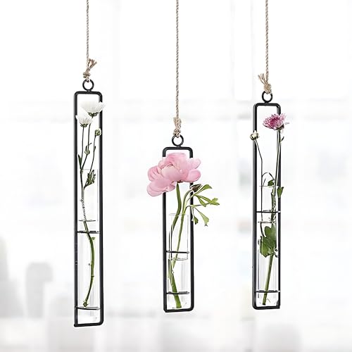 3 Beautiful Hanging Plant Holders for Bud Propagation | Rope