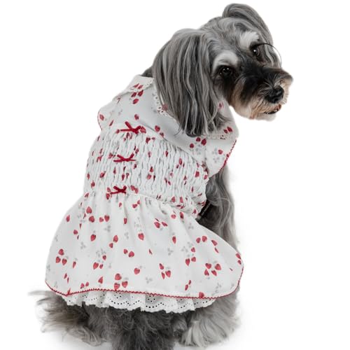 ペットパラダイス 犬 服 春 苺 柄 スモッキング ワンピース リボン 襟 【参考 DS 中くらいダックス (〜5kg) ペットパラダイス国内直営店72店舗展開2025/10/1時点】