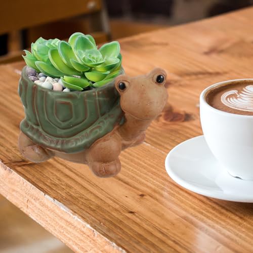Pots de succulentes en céramique lot de 2 petits pots animaux cadeau