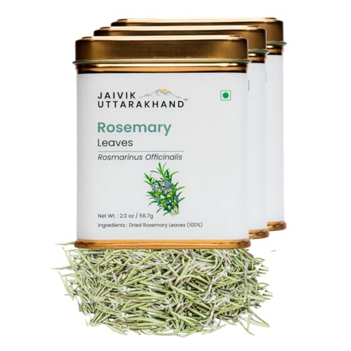 Image of Jaivik Uttarakhand - Rosemary Herbal Tea (170.1 g), Dry risemerry patti, Top Grade leaf, Long Shelf Life, Prepare Rosemary Water for Hair, Pack of 3 Tin Box