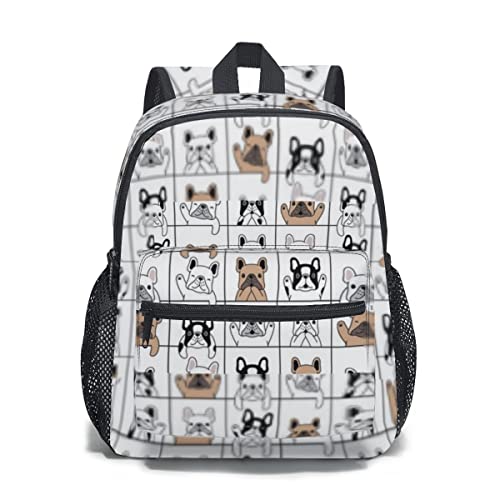 [SDCISUA] Ck   }XN q Jo obN obNpbN LbY bNTbN bN y ̎q j̎q e ʊw  s w ʊw  ʉ a v[g Č nXL[ |jA pO v[h 