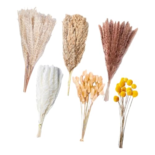 Ramo de pasto pampas seco 100 piezas para decoración miniatura 1