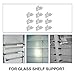 TEHAUX 10Pcs Stainless Steel Shelf Bracket Clips with Holes for Glass Suction Cups or Screws, Rustproof and Durable Shelf Support Pegs for Adjustable Shelves in Garage and Tool Room