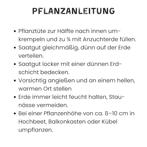 Küchengartenhaus für Hochbeet, DIY Salatanbau Set mit Pflücksalat & Rucola, Anzuchtset für frische Blattsalate im Garten, Balkon & Hochbeet, nachhaltige Geschenkidee für Hobbygärtner & Selbstversorger