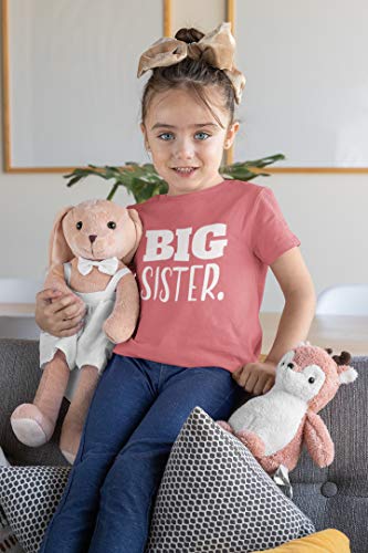 Big Sister Shirt Big Sister Announcement Toddler Shirts Promoted to Girls Outfit2