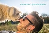 Schnüffelfreunde Zahnpflege Wasserzusatz für Hunde und Katzen | Frischer Atem und gesunde Zähne - Hilft Plaque und Zahnstein vorzubeugen - 500ml (Classic)