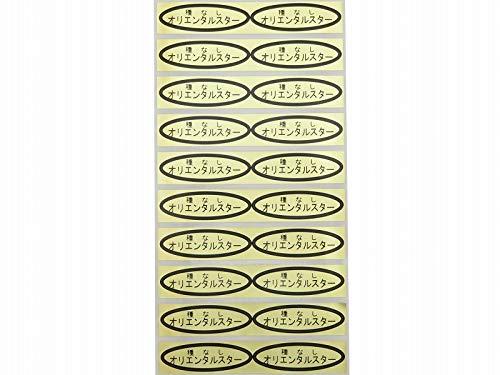 ȂԂǂ iV[ 49×14mm ȉ~` 500 (20×25) (ȂIG^X^[)