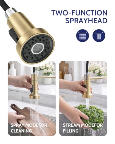 Image of LUFEIDRA Pull-Down Kitchen Faucet with Soap Dispenser, Gold
