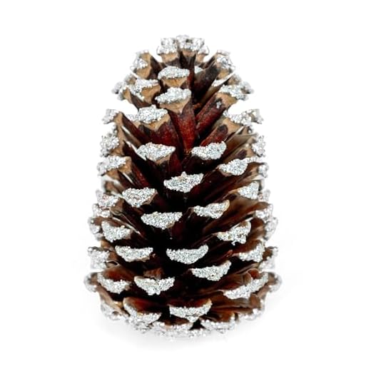 GS Foliage Frosted Pine Cones – Set of 15 Small 3–4" Loblolly Pinecones for Crafts, Christmas & Winter Decor, DIY Ornaments, Vase Fillers, Rustic Wedding Centerpieces & Seasonal Home Styling Events