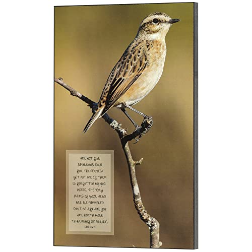 Dicksons Luke 12:6-7 Perched Sparrow 10 x 16 MDF Wall