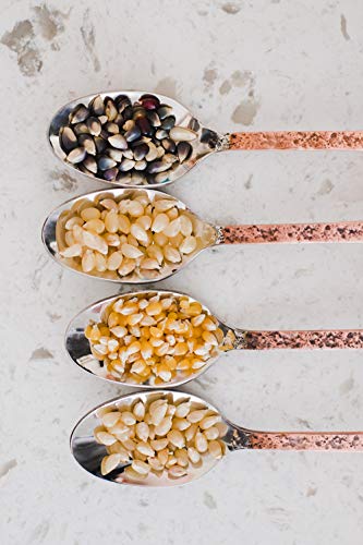 image for Amish Country Popcorn | 4 - 1 lb Bags | Variety Pack | 1 lb Baby White