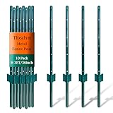 Thealyn - Postes de valla de metal para vallas de acero (0, poste en T para vallas de jardín de acero