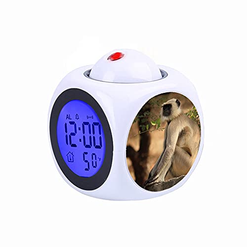 LCD Digital LED Display Projection Alarm Clock Talking with Voice Thermometer Function Desktop Depth of Field of Gray Langur Sitting on Gray Concrete Surface Near Green Leaf Plant