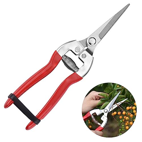剪定鋏 摘果鋏 ステンレス ステンレス 芽切鋏 摘果鋏 摘果ハサミ 省力化 錆に強い 握りやすい 滑り止め 軽量 耐久性 園芸 いけばな 盆栽 庭木 えだきりばさみ 花はさみ 野菜収穫に適用 安全ロック付き(赤)