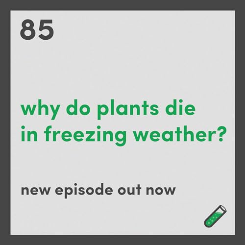 Why do plants die in freezing weather? Amazon.co.uk Audible Books