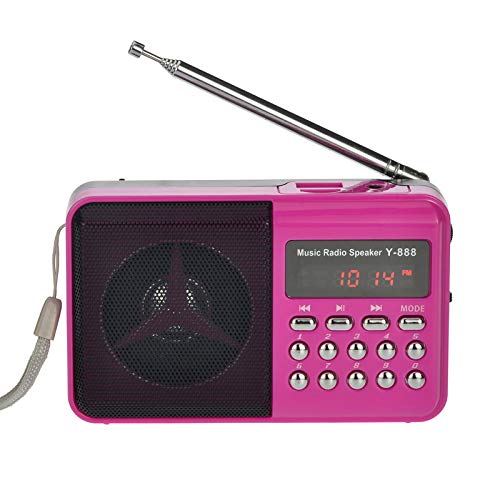 Tragbarer FM Digital Radio, Mini-Lautsprecher-Radio mit Musik MP3-Funktion Unterstützungs-TF-SD-Karte und USB,B