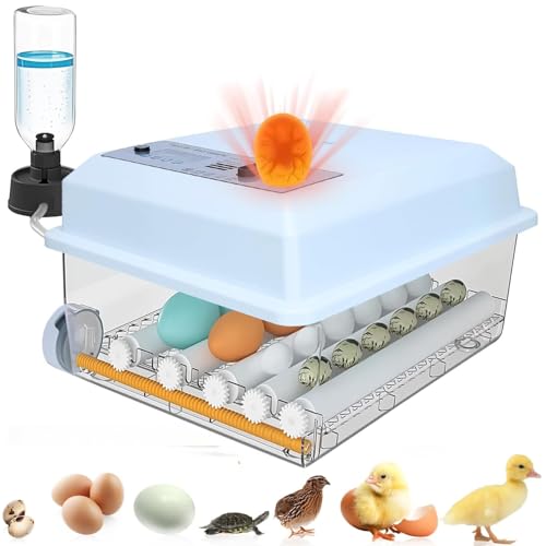 Incubadoras de ovos para chocar ovos com giro automático de ovos, exibição de umidade, controle de temperatura, 16 incubadoras de ovos para frango, ovos de codorna