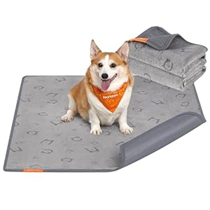 Feandrea Hundedecke, 2er Set, Wiederverwendbare Hundematte, 122 x 91 cm, XL, wasserdicht, auslaufsicher, rutschfest, saugfähig für Hunde, Katzen, Kaninchen, Taubengrau PTD003G01