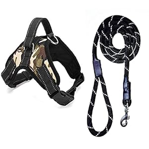 Dog Trust Soft and Durable K9 Police Dog Harness Vest with Black Rope Leash and Loop Straps and Handle and Adjustable (Army Print) Large Size