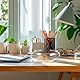 Operitacx Blumentopf Aus Glas Pflanzschalen Für Seerosen Schüssel Terrarium Sukkulenten Pflanzer Hydroponische Pflanzschale Kugelförmiges Terrarium Aquatischer Büro Aquarium Aus Glas