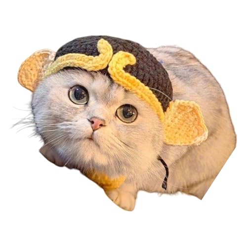 ybĝj҂݂̖XqwbhMAnbgybgzf[fR[Vp[eB[qwbhMAʐ^킢L̃ANZT[