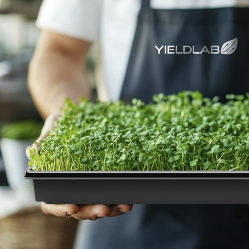 Yield Lab 10x20 Inch Black Plastic 10 Pack Plant Propagation Tray – Growing Trays for Garden, Planting, Seedling, Soil & Hydroponic Horticulture - Microgreen Trays Grow Plants - No Drain Holes - Thumbnail 7