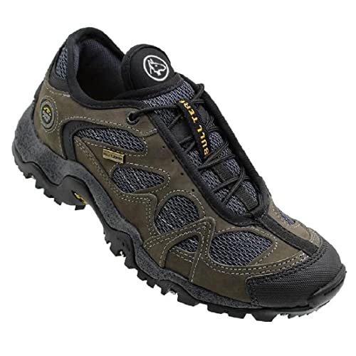 tenis para caminhada, esporte e trilha, Bull Terrier