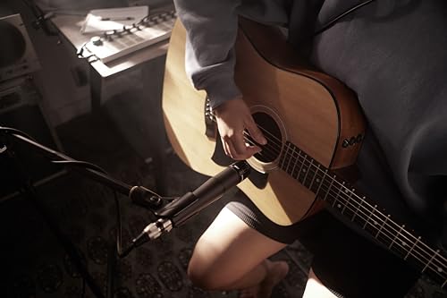 SHURE SM57-LCE の商品画像 5