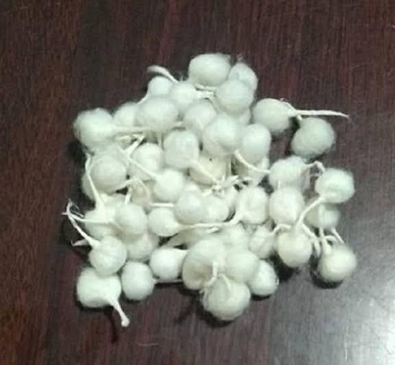 Set Phool Batti Pooja con 500 piezas para ritos espirituales miniatura 4