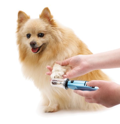 Oster Gentle Paws Less Stress Dog and Cat Nail Grinder, 2 Speed (078129-600-000)