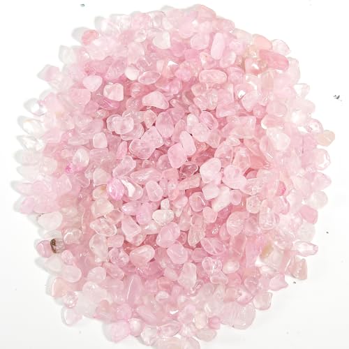 NX^`bvXg[ 1|h/465g VRNH[cXg[ ANAE  V[OX ⍻ Ntgp ԕrtB[ AA Ap^N(sNATCY)