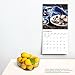Kitchen | 2024 12 x 24 Inch Monthly Square Wall Calendar | BrownTrout | Cooking Home