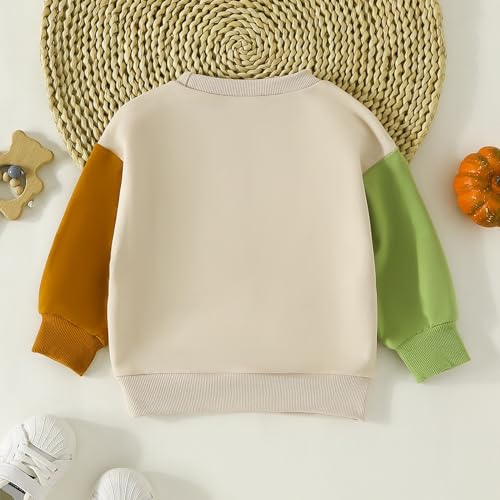 Toddler Boys Girls Sweater Autumn Long Sleeved Round Neck Pumpkin Letter Printing Color Block Girls Soft Fleece Pullover2