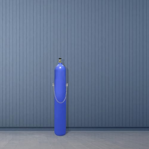 Support de bouteille d'oxygène anti-chute fixation de gaz 40l - 8