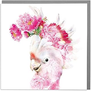 Lola Design - Wildlife Botanical Greeting Cards - Blank Cards and Envelopes - Hummingbird Animal Card