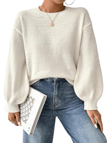 SKAYS Women's 2025 Long Sleeve Cozy Fall Sweater Fall Knit Crew Neck Pullover Lightweight Winter Casual Sweaters