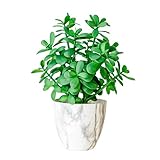 365 Blooming Decor 16 Inch Marble Pattern Potted Jade Plant - Luxury Artificial Succulent for Home, Office, Bathroom, Bookshelf Decor - Realistic Look, Maintenance-Free, Feng Shui Money Tree