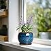SQOWL 6 Inch Plant Pot - Ceramic Planter Pot with Drainage Hole and Saucer, Succulent Pot Round Flower Pot for Indoor Plants Outdoor, Blue